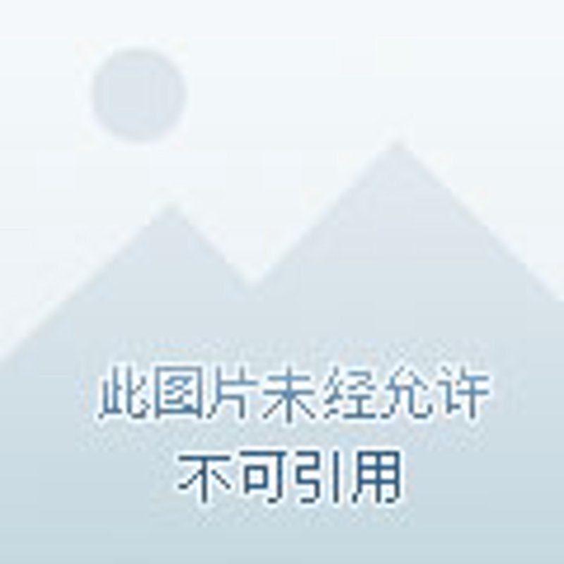 进口商品专柜：潮流前沿的购物选择